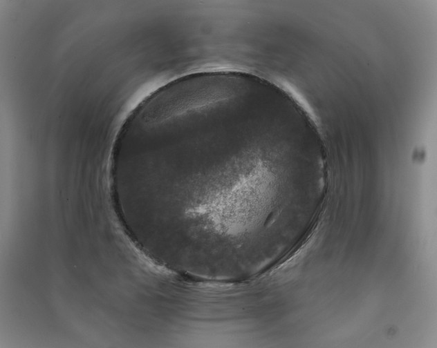 X0000091511173200708171149