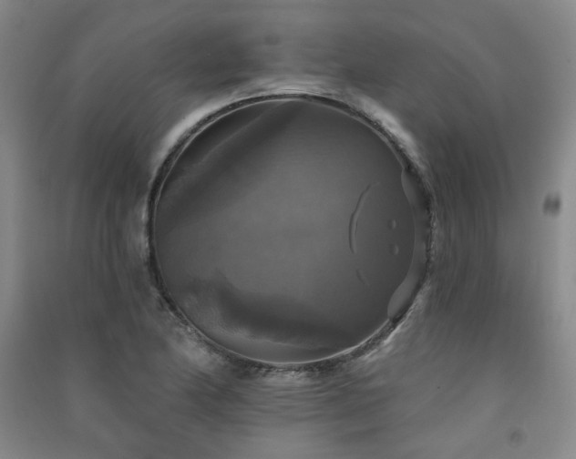 X0000091511174200708171149