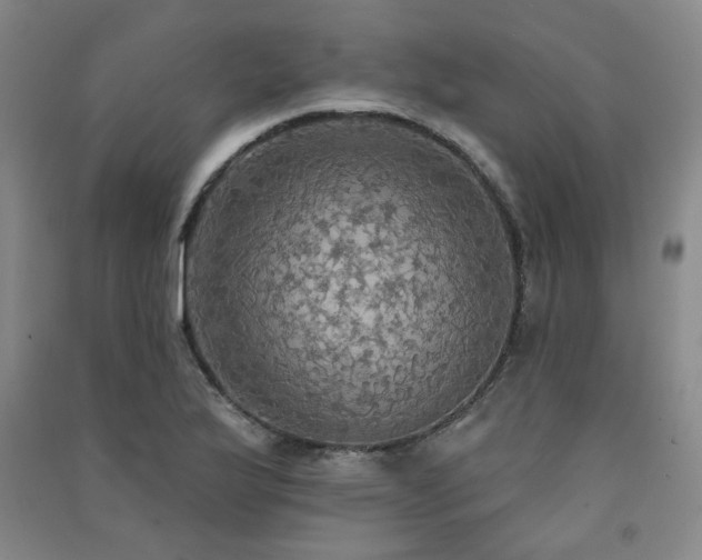 X0000091511175200708171149