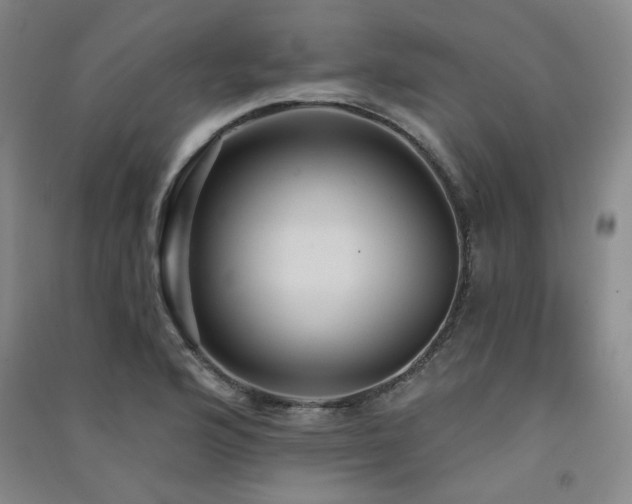 X0000091511176200708171149