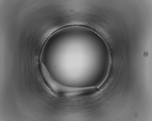 X0000091511177200708171149