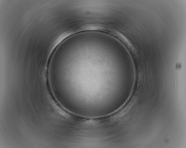 X0000091511178200708171149