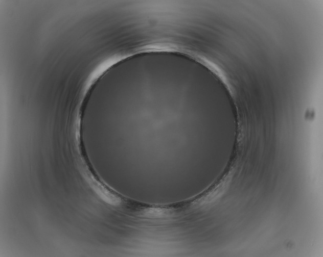 X0000091511179200708171149