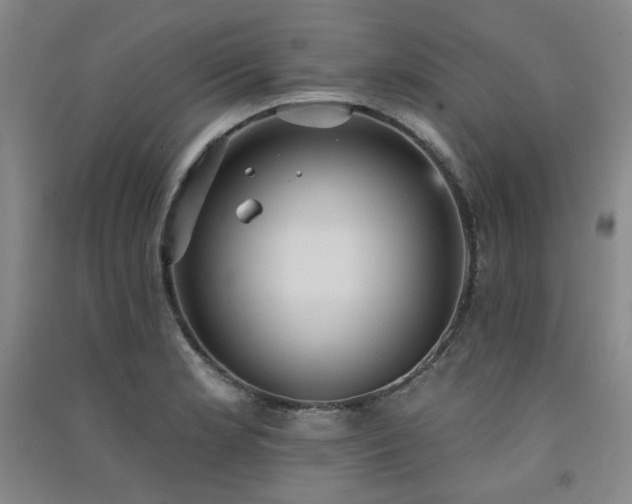 X0000091511181200708171149