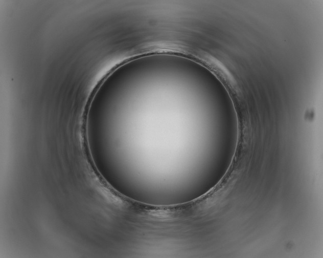 X0000091511182200708171149