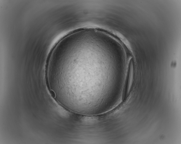 X0000091511183200708171149