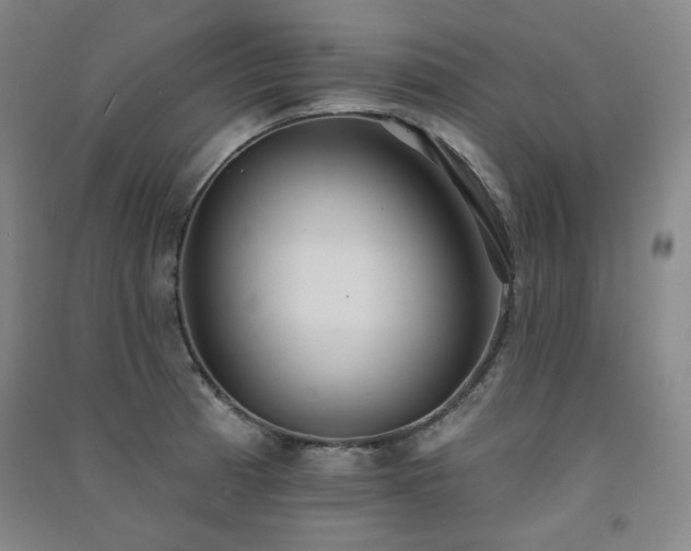 X0000091511185200708171149
