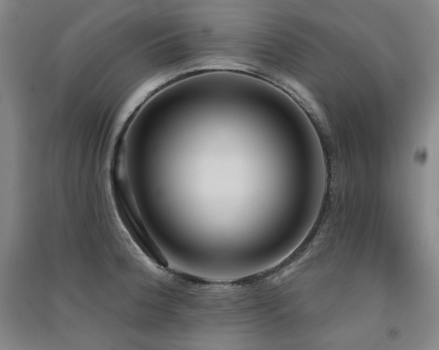 X0000091511188200708171149