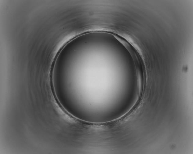 X0000091511189200708171149