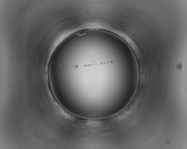 X0000091511191200708171149