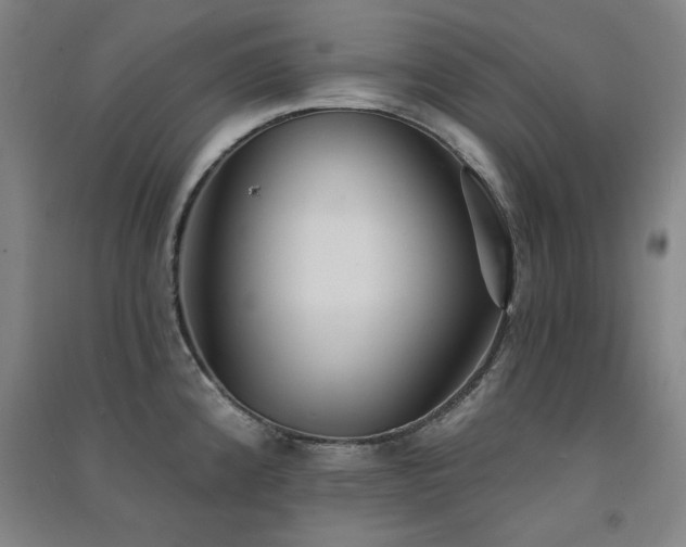 X0000091511192200708171149