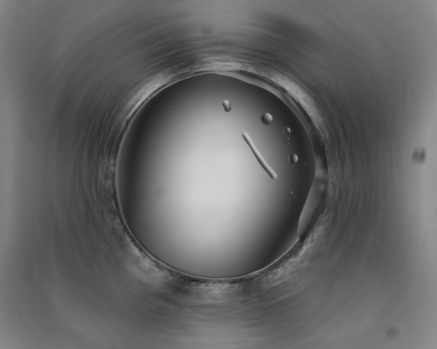 X0000091511193200708171149