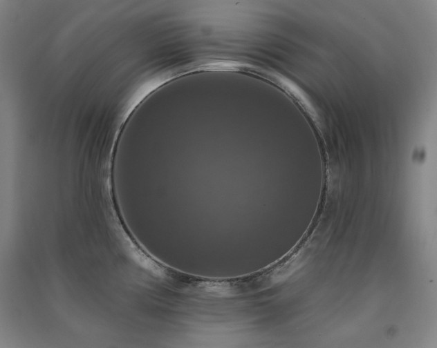 X0000091511194200708171149