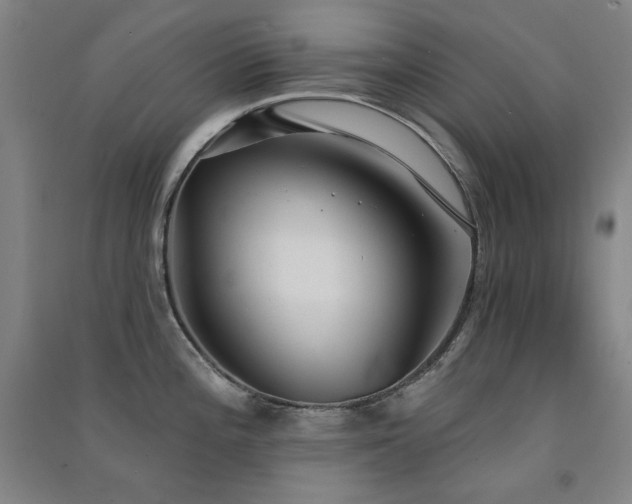 X0000091511196200708171149