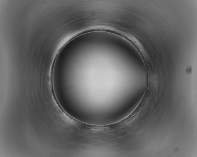 X0000091511199200708171149