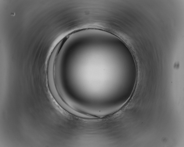 X0000091511200200708171149