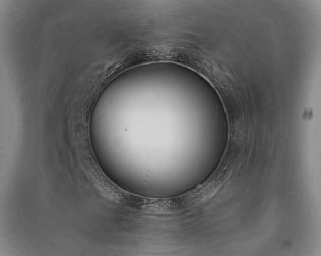 X0000091511201200708171149