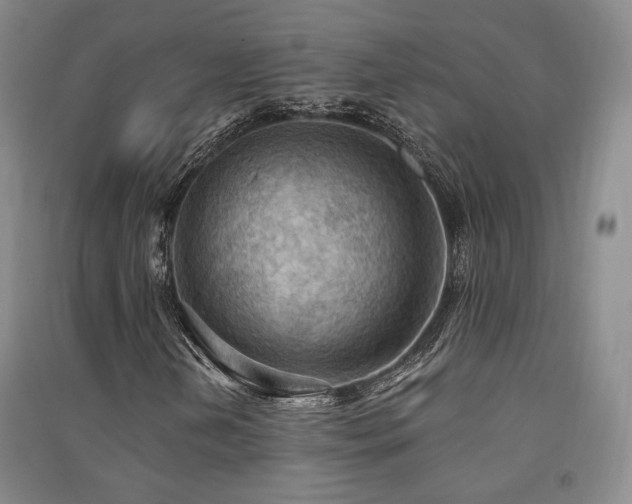 X0000091511202200708171149