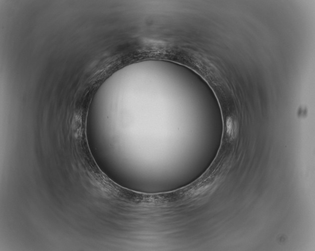 X0000091511203200708171149