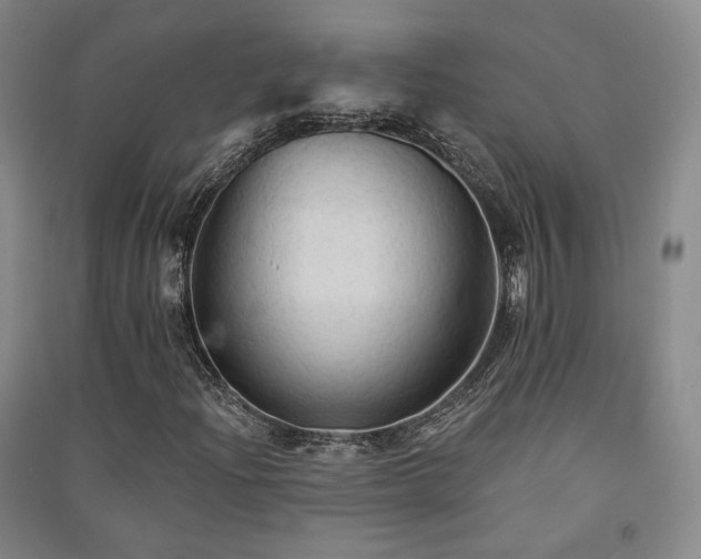 X0000091511204200708171149