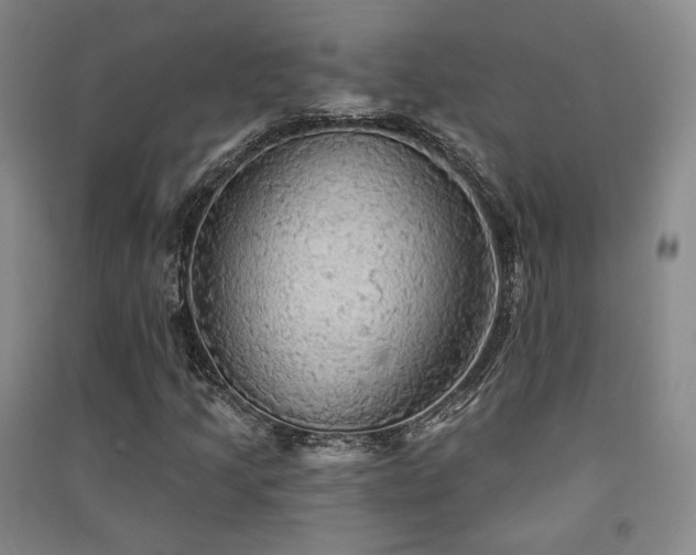 X0000091511205200708171149