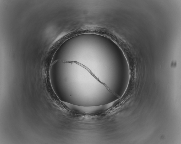 X0000091511206200708171149