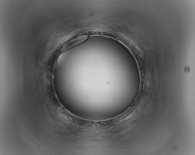 X0000091511207200708171149