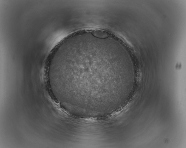 X0000091511208200708171149