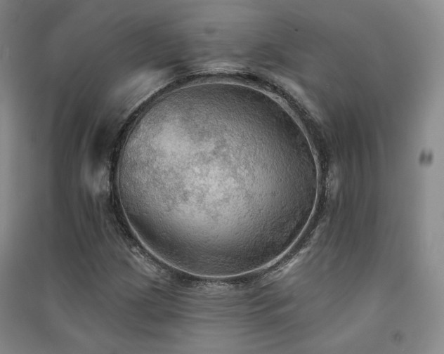 X0000091511209200708171149