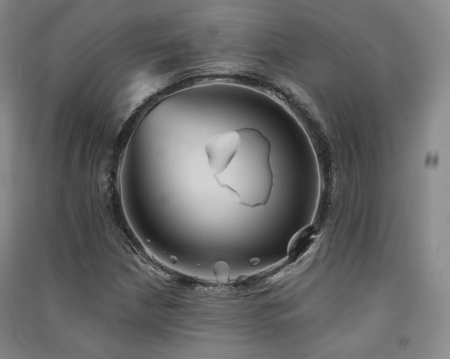 X0000091511210200708171149