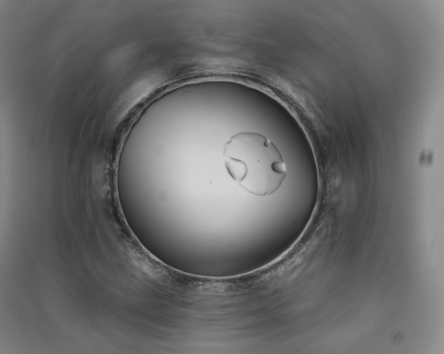 X0000091511211200708171149