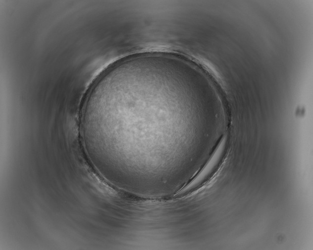 X0000091511212200708171149