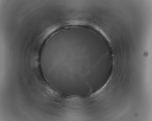 X0000091511213200708171149