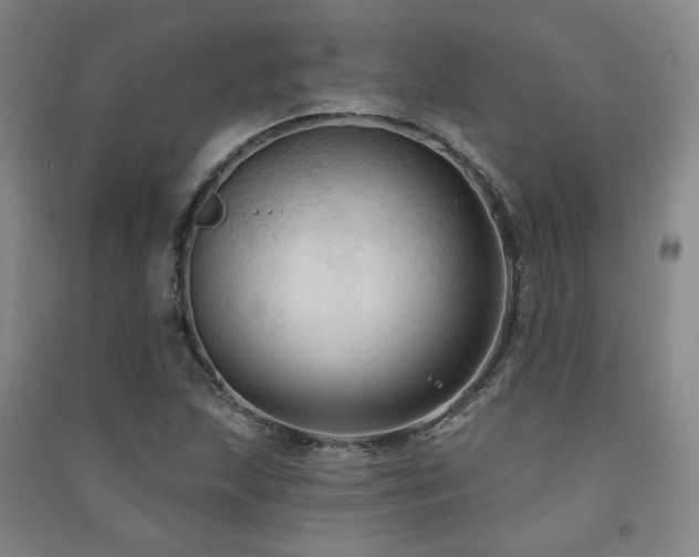 X0000091511215200708171149
