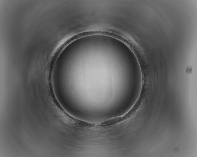 X0000091511216200708171149