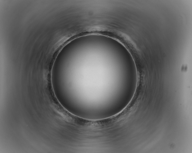 X0000091511217200708171149