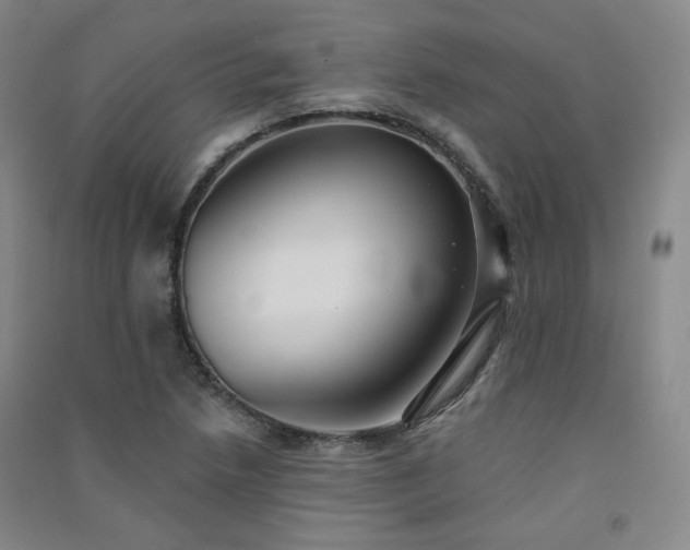 X0000091511218200708171149