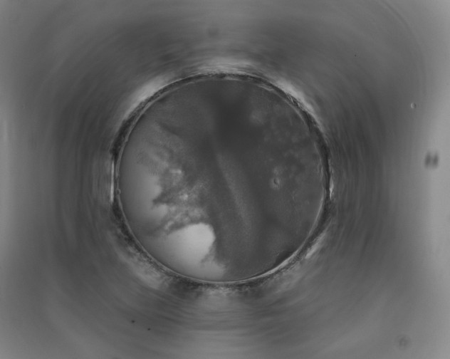 X0000091511219200708171149