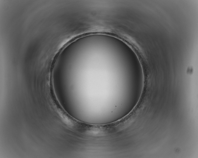 X0000091511220200708171149