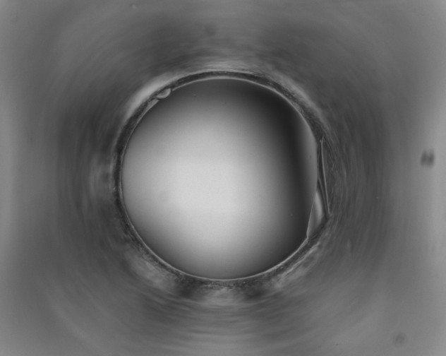 X0000091511222200708171149