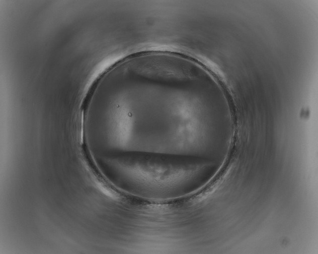X0000091511223200708171149