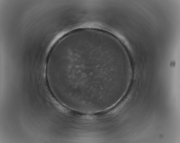 X0000091511224200708171149