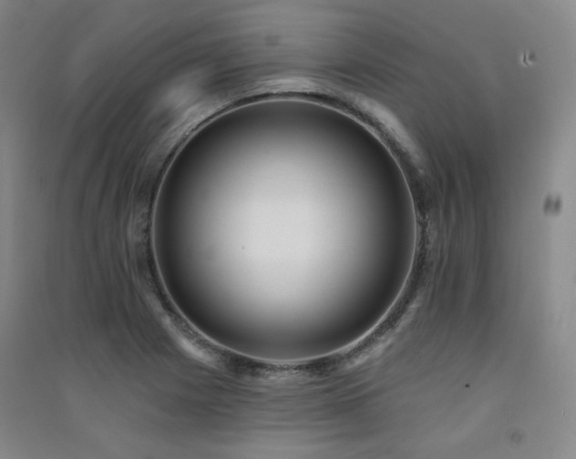 X0000091511225200708171149