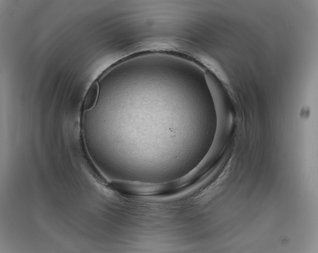 X0000091511226200708171149