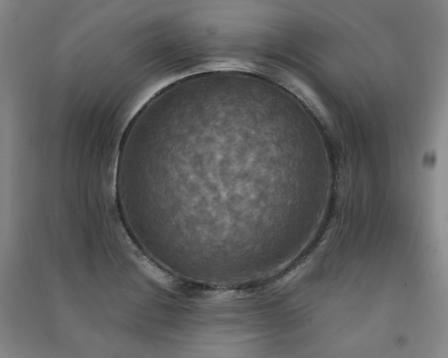 X0000091511228200708171149