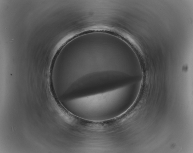 X0000091511229200708171149