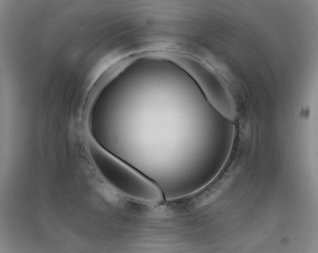 X0000091511230200708171149