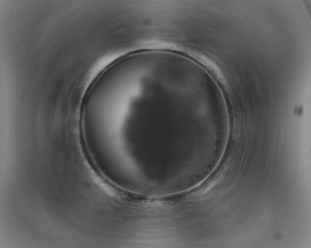 X0000091511231200708171149