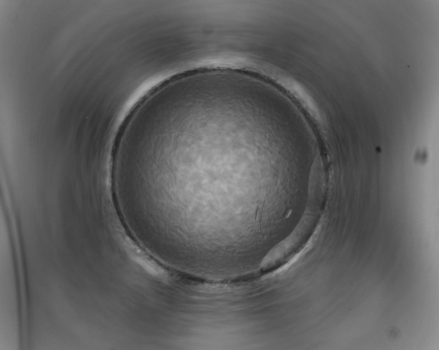 X0000091511232200708171149