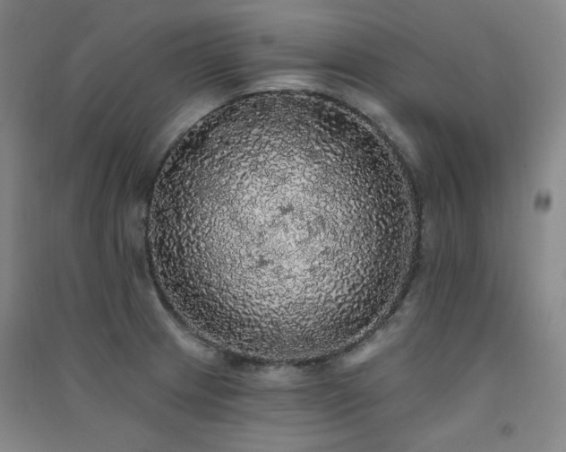 X0000091511233200708171149